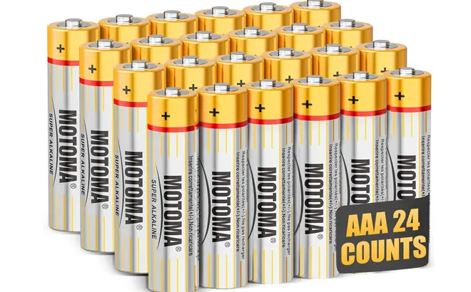 AAA-Batteries-24-Pack.webp