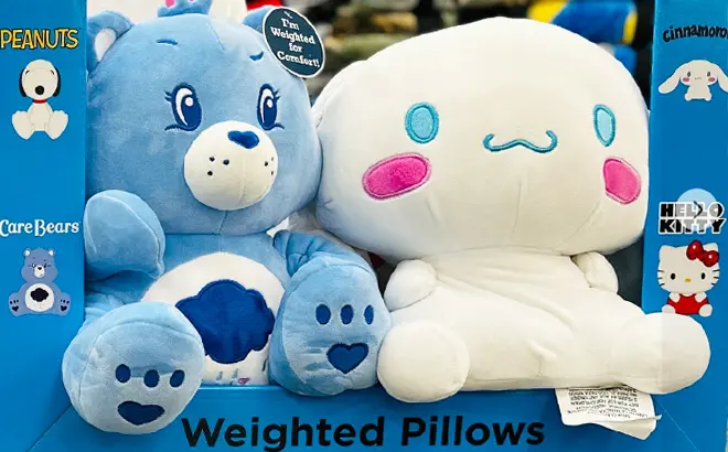 Care-Bears-and-Cinnamoroll-Kids-Weighted-Plush-Pillows.webp