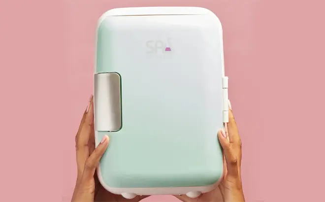 Beauty Fridge $18 at Walmart