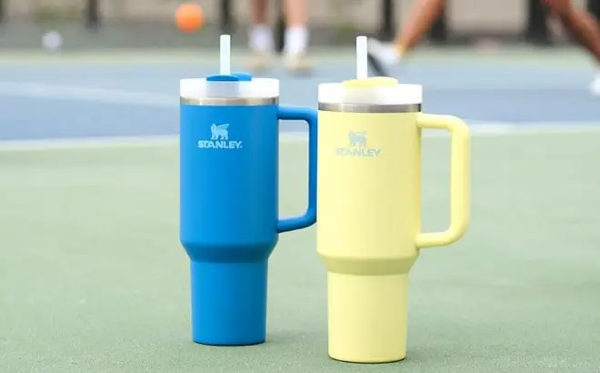 Stanley Quencher H2.0 Tumbler