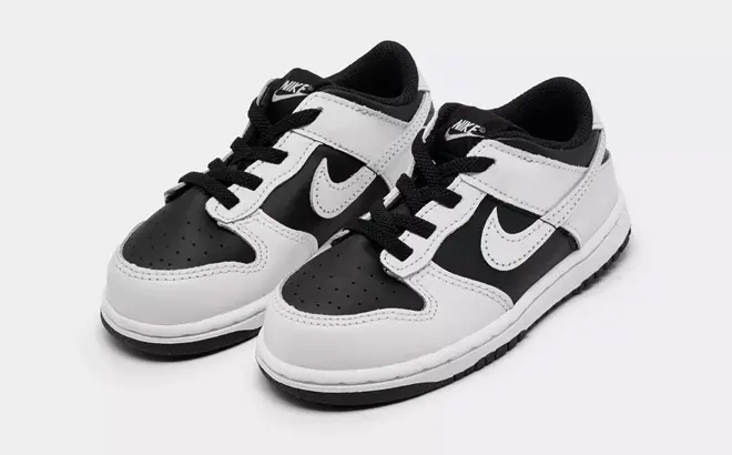 Nike Toddler Dunk Low Shoes