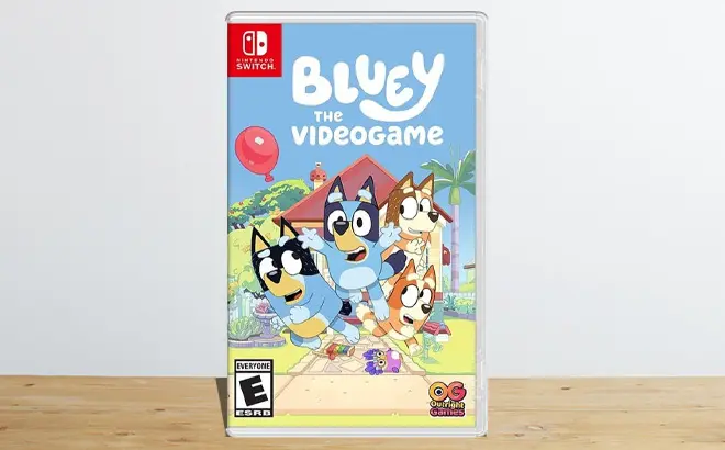 Bluey The Videogame