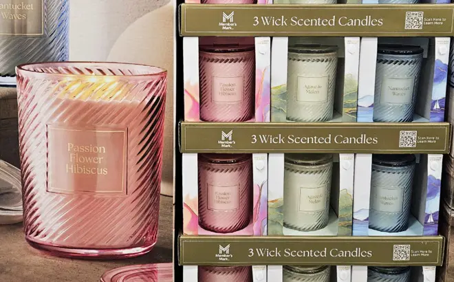 3-Wick Scented Candles