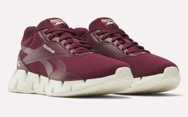 Reebok Zig Dynamica Shoes 