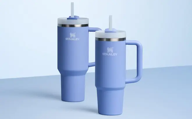 Stanley Quencher H2.0 FlowState Tumbler (40 oz)