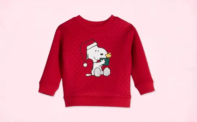 Peanuts Snoopy Baby Sweater