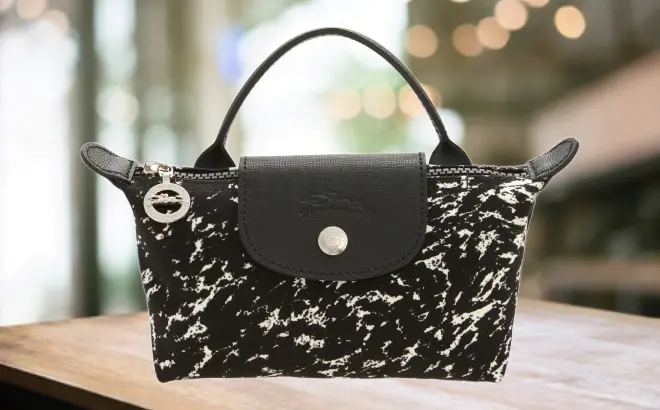 Longchamp Cosmetics Case