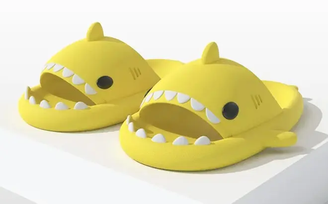 Shark Slides Slippers