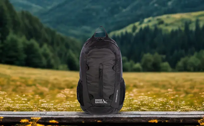 Eddie Bauer 20L Backpack 