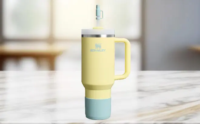 Stanley Quencher Boot & Cover Set 