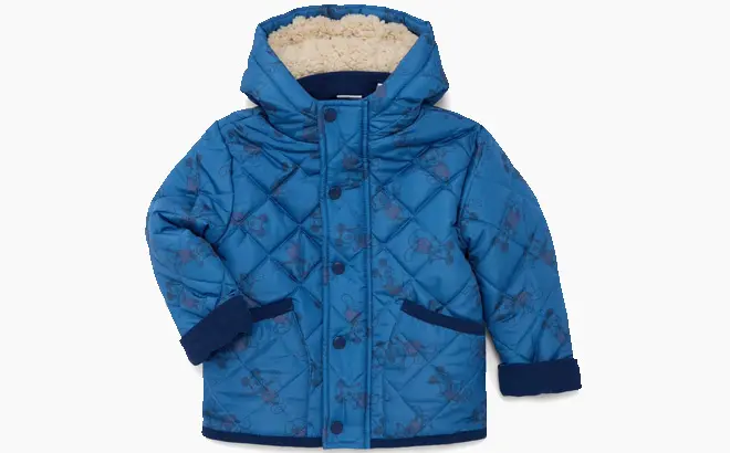 Toddler Quilted Hooded Jacket 