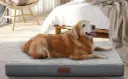 Orthopedic Dog Bed 