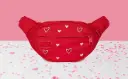 JanSport Waist Pack